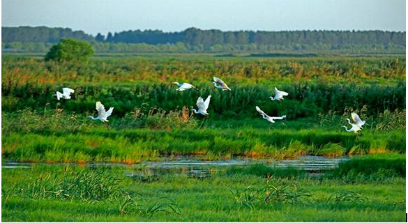 ��ˮľ�ۙC(j��)